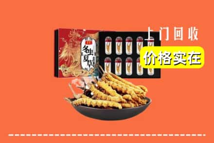 端州区回收冬虫夏草