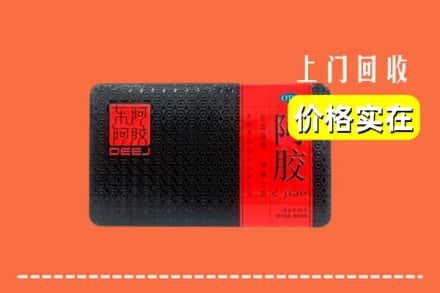 收购资讯:端州区回收阿胶