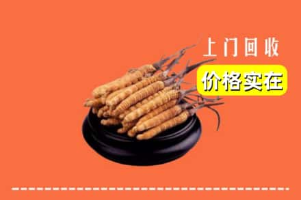 端州区回收冬虫夏草